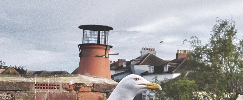 Chimney Cap Bird Guard Repair in Chambly, Quebec