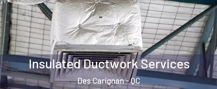  Insulated Ductwork Services Des Carignan - QC