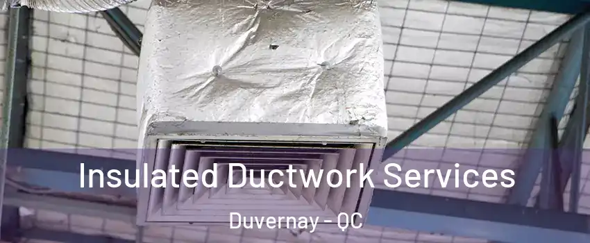  Insulated Ductwork Services Duvernay - QC