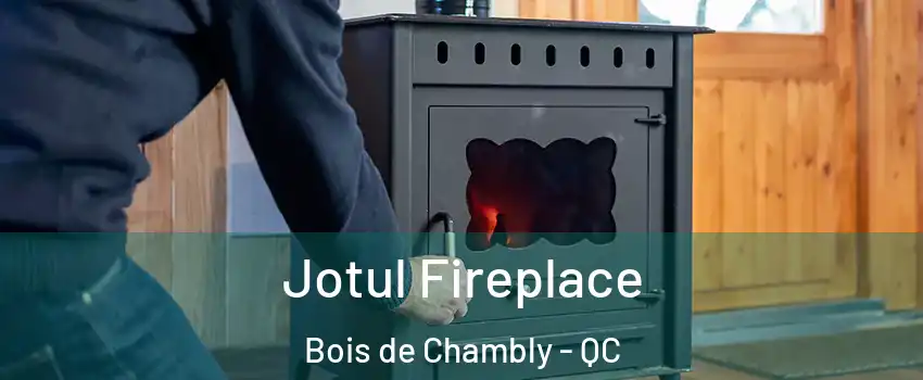  Jotul Fireplace Bois de Chambly - QC