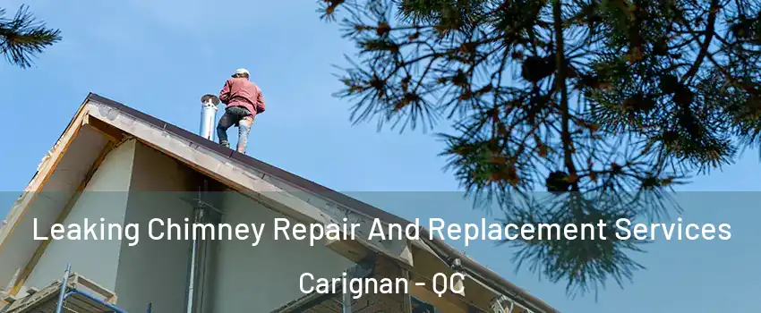  Leaking Chimney Repair And Replacement Services Carignan - QC