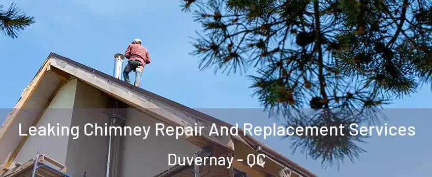  Leaking Chimney Repair And Replacement Services Duvernay - QC