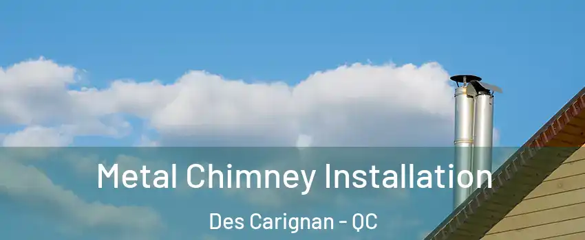  Metal Chimney Installation Des Carignan - QC