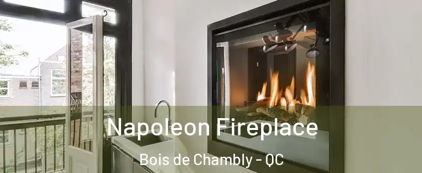  Napoleon Fireplace Bois de Chambly - QC