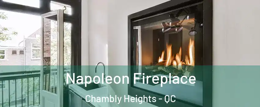 Napoleon Fireplace Chambly Heights - QC