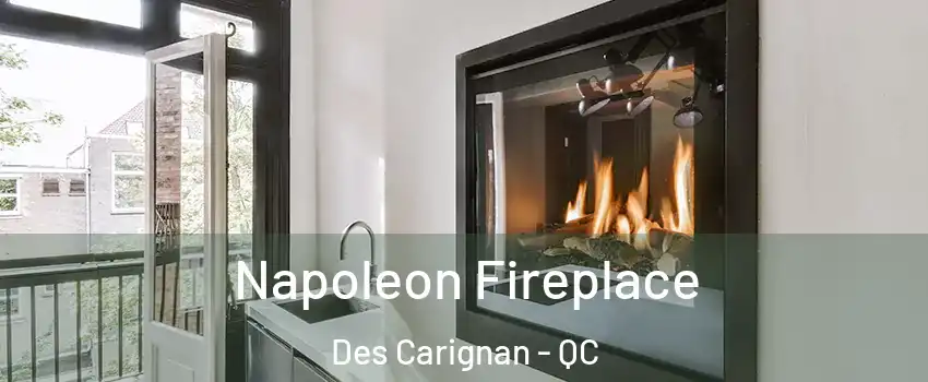 Napoleon Fireplace Des Carignan - QC