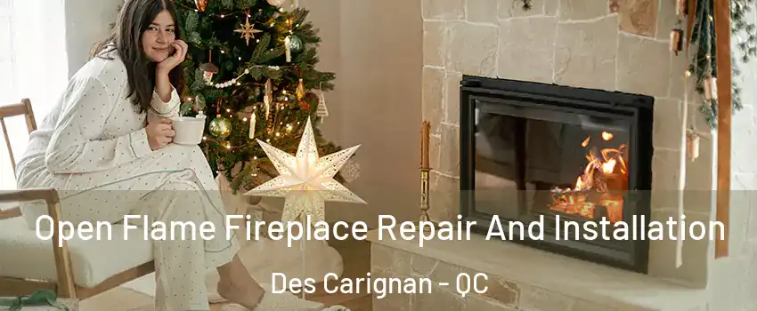  Open Flame Fireplace Repair And Installation Des Carignan - QC