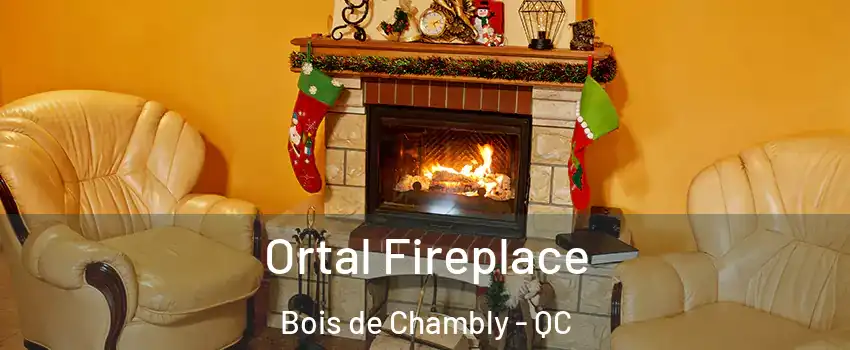  Ortal Fireplace Bois de Chambly - QC