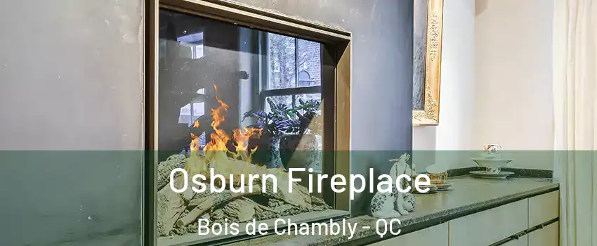 Osburn Fireplace Bois de Chambly - QC