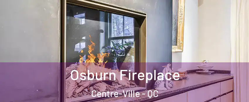  Osburn Fireplace Centre-Ville - QC