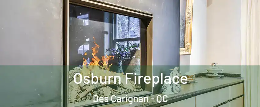 Osburn Fireplace Des Carignan - QC