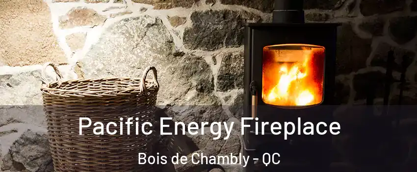  Pacific Energy Fireplace Bois de Chambly - QC