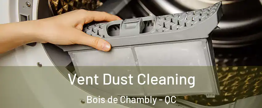  Vent Dust Cleaning Bois de Chambly - QC