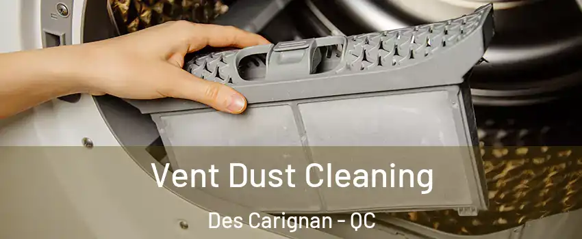  Vent Dust Cleaning Des Carignan - QC