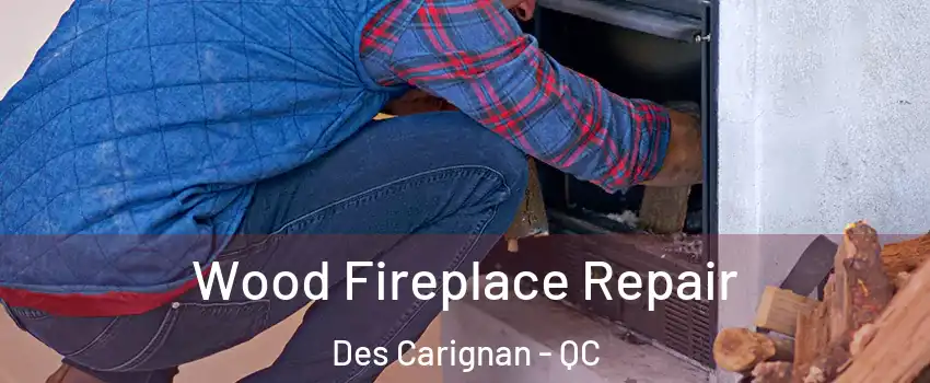  Wood Fireplace Repair Des Carignan - QC