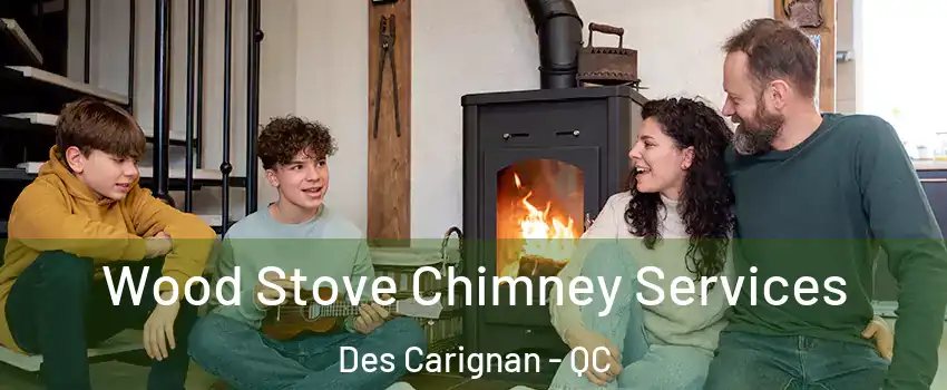  Wood Stove Chimney Services Des Carignan - QC