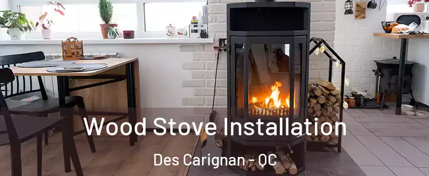  Wood Stove Installation Des Carignan - QC