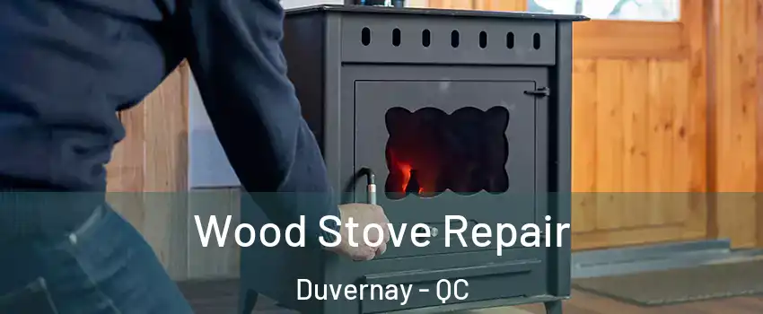  Wood Stove Repair Duvernay - QC